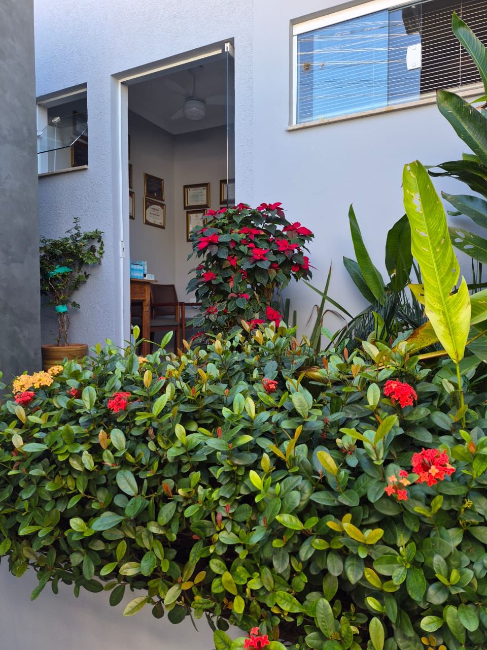 Entrada do consultório com jardim florido em Itapira-SP